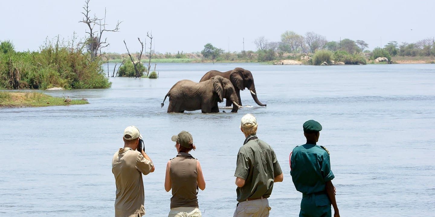 Safari tourists observing elephants crossing the river in a Malawian wildlife reserve.