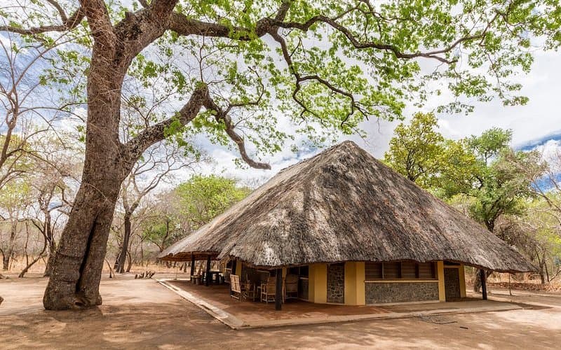 A rustic bush villa with a large thatched roof surrounded by tall trees and sandy ground.