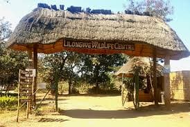 Entrance gate of Lilongwe Wildlife Centre with thatched roof in Malawi